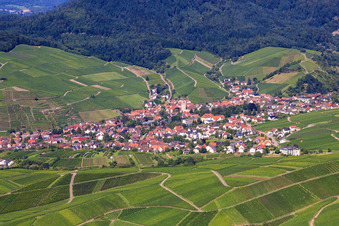 Vue aérienne de Village viticole au milieu des vignes à le quartier Altschweier in Bühl dans le département Bade-Wurtemberg, Allemagne