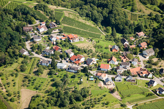Vue aérienne de Sur la route des vins à le quartier Altschweier in Bühl dans le département Bade-Wurtemberg, Allemagne