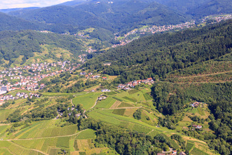 Vue aérienne de Village viticole au milieu des vignes à le quartier Riegel in Bühl dans le département Bade-Wurtemberg, Allemagne