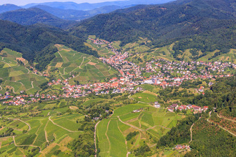 Vue aérienne de Vue du village entre les vignes depuis l'ouest à le quartier Untertal in Bühlertal dans le département Bade-Wurtemberg, Allemagne