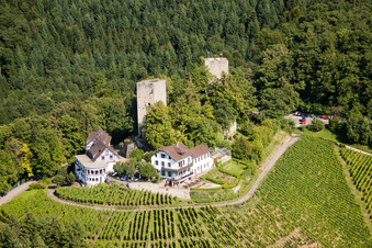 Photographie aérienne de Château de Windeck à le quartier Riegel in Bühl dans le département Bade-Wurtemberg, Allemagne
