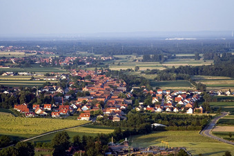 Vue aérienne de Village vu de l'ouest à Freckenfeld dans le département Rhénanie-Palatinat, Allemagne