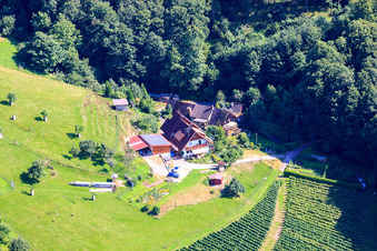 Vue aérienne de À Hennegraben à le quartier Riegel in Bühl dans le département Bade-Wurtemberg, Allemagne