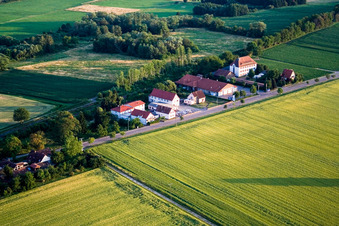 Vue aérienne de Gare de Schaidt avec réduction Netto Marken à Steinfeld dans le département Rhénanie-Palatinat, Allemagne