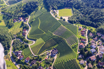 Vue aérienne de Pentes abruptes du vignoble sur Büchelbach à le quartier Büchelbach in Sasbachwalden dans le département Bade-Wurtemberg, Allemagne