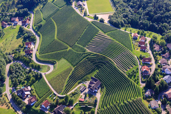 Vue aérienne de Kappelrodeck, vignobles près de Bernhardshöfe à le quartier Büchelbach in Sasbachwalden dans le département Bade-Wurtemberg, Allemagne