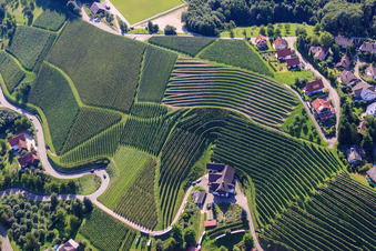 Vue aérienne de Kappelrodeck, vignobles près de Bernhardshöfe à le quartier Büchelbach in Sasbachwalden dans le département Bade-Wurtemberg, Allemagne
