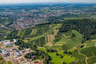 Vue aérienne de Bosse d'abeille à Achern dans le département Bade-Wurtemberg, Allemagne