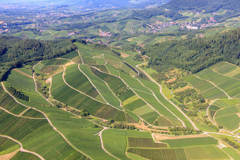 Vue aérienne de Vignobles à Kappelrodeck dans le département Bade-Wurtemberg, Allemagne