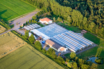 Terre de cactus à Steinfeld dans le département Rhénanie-Palatinat, Allemagne hors des airs