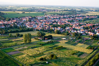 Vue aérienne de Village du sud-ouest à Steinfeld dans le département Rhénanie-Palatinat, Allemagne