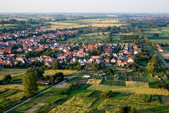 Vue aérienne de Village du sud-ouest à Steinfeld dans le département Rhénanie-Palatinat, Allemagne