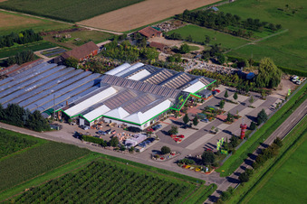 Vue aérienne de Decker Flowers GmbH à le quartier Großweier in Achern dans le département Bade-Wurtemberg, Allemagne