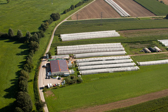Vue aérienne de Pépinière Bioland Schmälzle à le quartier Halberstung in Sinzheim dans le département Bade-Wurtemberg, Allemagne