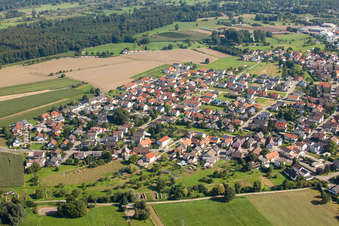 Sinzheim/Kartung