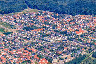 Vue aérienne de Königsberger Straße à Jockgrim dans le département Rhénanie-Palatinat, Allemagne