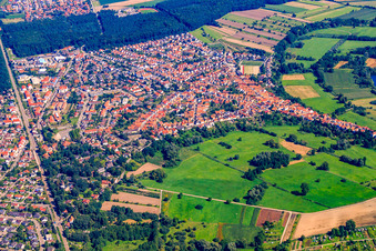 Vue aérienne de Schillerstraße à Jockgrim dans le département Rhénanie-Palatinat, Allemagne