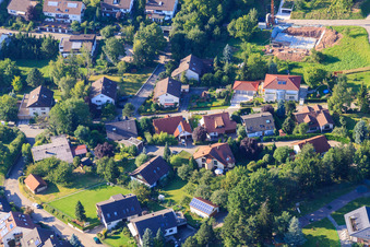 Vue aérienne de Petite forêt à le quartier Ellmendingen in Keltern dans le département Bade-Wurtemberg, Allemagne