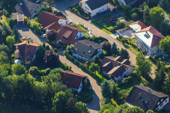 Photographie aérienne de Petite forêt à le quartier Ellmendingen in Keltern dans le département Bade-Wurtemberg, Allemagne
