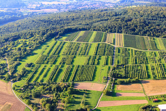 Vue aérienne de Vignoble de Keulebuckel à le quartier Ellmendingen in Keltern dans le département Bade-Wurtemberg, Allemagne