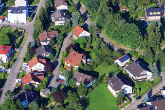Vue oblique de Petite forêt à le quartier Ellmendingen in Keltern dans le département Bade-Wurtemberg, Allemagne