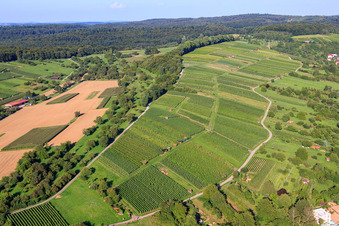 Vue aérienne de Vignobles Ellmendingen à le quartier Ellmendingen in Keltern dans le département Bade-Wurtemberg, Allemagne