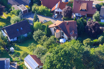 Petite forêt à le quartier Ellmendingen in Keltern dans le département Bade-Wurtemberg, Allemagne d'en haut