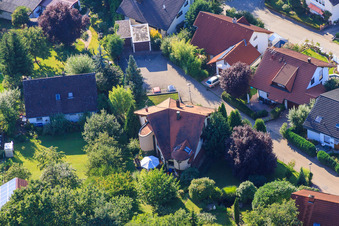 Petite forêt à le quartier Ellmendingen in Keltern dans le département Bade-Wurtemberg, Allemagne vue d'en haut