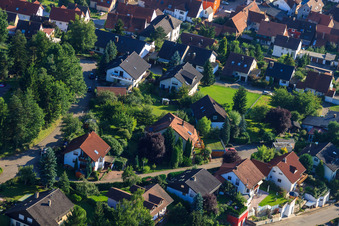 Vue d'oiseau de Petite forêt à le quartier Ellmendingen in Keltern dans le département Bade-Wurtemberg, Allemagne