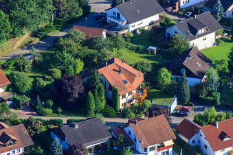 Petite forêt à le quartier Ellmendingen in Keltern dans le département Bade-Wurtemberg, Allemagne vue du ciel