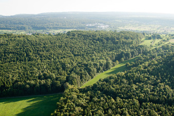 Vue d'oiseau de Réserve naturelle de Kettelbachtal à le quartier Obernhausen in Birkenfeld dans le département Bade-Wurtemberg, Allemagne