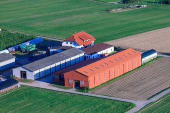 Vue aérienne de Aussiedlerhöfe Am Bildstöckel Farm Shop Seither à Hatzenbühl dans le département Rhénanie-Palatinat, Allemagne