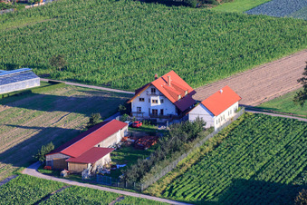 Vue aérienne de Aussiedlerhöfe Am Bildstöckel Famille Müller à Hatzenbühl dans le département Rhénanie-Palatinat, Allemagne