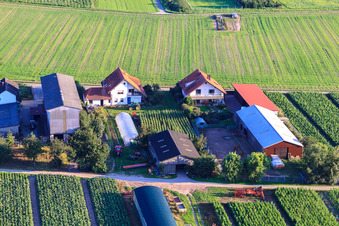 Vue aérienne de Aussiedlerhöfe Am Bildstöckel à Hatzenbühl dans le département Rhénanie-Palatinat, Allemagne