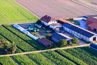 Vue aérienne de Aussiedlerhöfe Am Bildstöckel Famille Dobler à Hatzenbühl dans le département Rhénanie-Palatinat, Allemagne