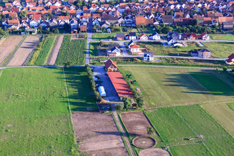 Vue oblique de Écurie Schmitt à Hatzenbühl dans le département Rhénanie-Palatinat, Allemagne