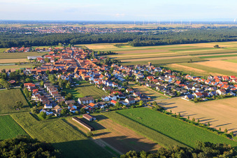 Vue aérienne de Village du tabac du sud à le quartier Hayna in Herxheim bei Landau dans le département Rhénanie-Palatinat, Allemagne