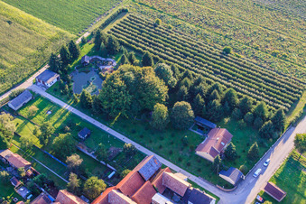 Vue aérienne de Dickemann Weber GmbH à Erlenbach bei Kandel dans le département Rhénanie-Palatinat, Allemagne