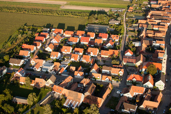 Vue aérienne de Chemin de jardin à Erlenbach bei Kandel dans le département Rhénanie-Palatinat, Allemagne