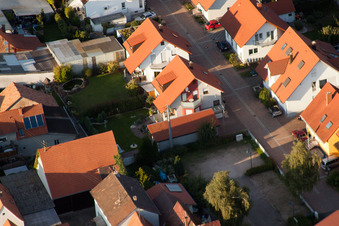 Dans le nid de la cigogne à Erlenbach bei Kandel dans le département Rhénanie-Palatinat, Allemagne vue d'en haut