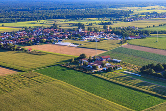 Photographie aérienne de Schoßberghof à Minfeld dans le département Rhénanie-Palatinat, Allemagne