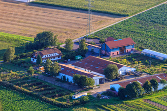 Vue oblique de Schoßberghof à Minfeld dans le département Rhénanie-Palatinat, Allemagne