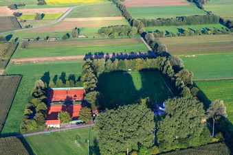 Vue aérienne de Terrains de sport SV1946 et TC à Minfeld dans le département Rhénanie-Palatinat, Allemagne