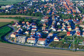 Vue aérienne de Au champ de maïs à Kandel dans le département Rhénanie-Palatinat, Allemagne