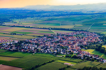 Vue aérienne de Vue de la ville depuis le nord-est à Steinweiler dans le département Rhénanie-Palatinat, Allemagne