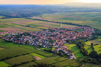 Vue aérienne de Vue de la ville depuis le nord-est à Steinweiler dans le département Rhénanie-Palatinat, Allemagne