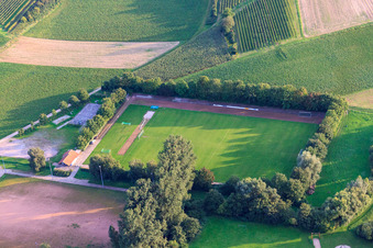 Vue aérienne de Terrains de sport de FC1924 Insheim eV à Insheim dans le département Rhénanie-Palatinat, Allemagne
