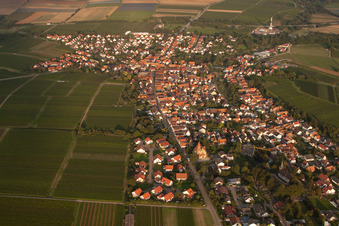 Photographie aérienne de Vue sur le village à Insheim dans le département Rhénanie-Palatinat, Allemagne