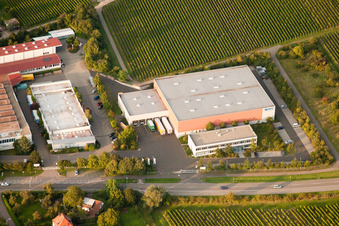 Vue aérienne de Watts Industries Deutschland GmbH à le quartier Godramstein in Landau in der Pfalz dans le département Rhénanie-Palatinat, Allemagne