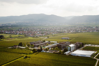 Vue oblique de RLP Agroscience à le quartier Mußbach in Neustadt an der Weinstraße dans le département Rhénanie-Palatinat, Allemagne